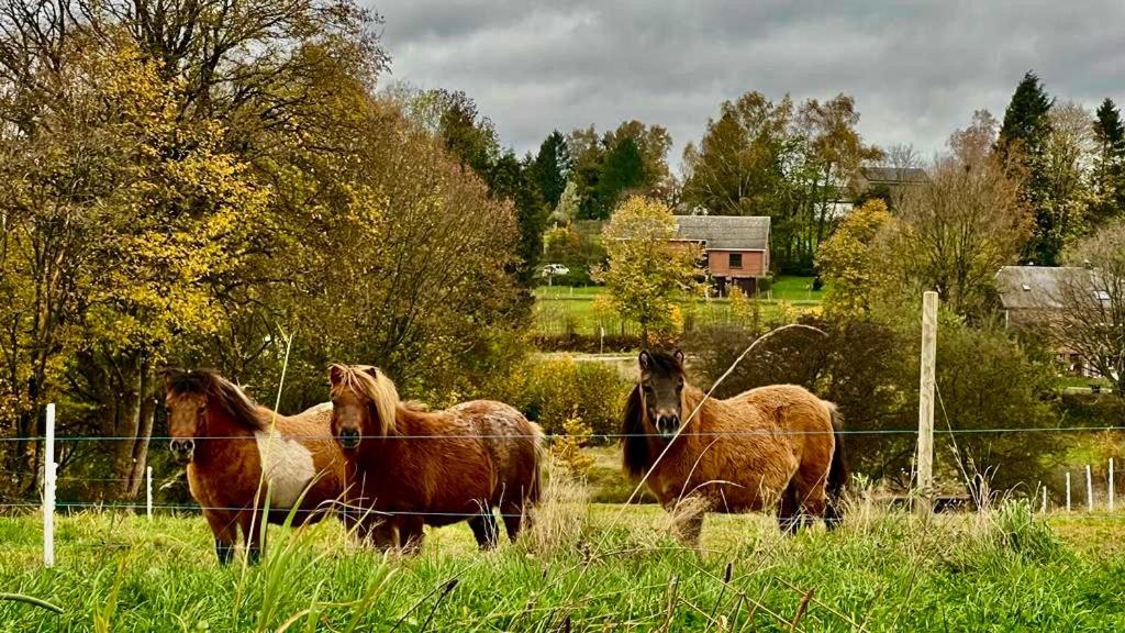 La Maison Attila En Ardennes Libin Exterior foto